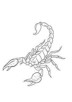 a black and white drawing of a scorpion