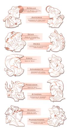 an info sheet showing the various stages of animation