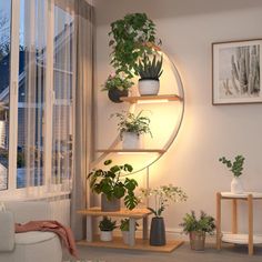 a living room filled with lots of plants next to a white couch and window sill