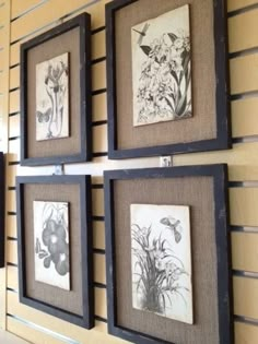 four framed flowers are hanging on the wall