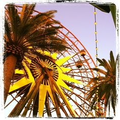 a ferris wheel with palm trees in the foreground and a blue sky behind it