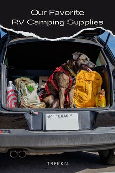 a dog sitting in the back of a truck with its trunk open and luggage packed inside