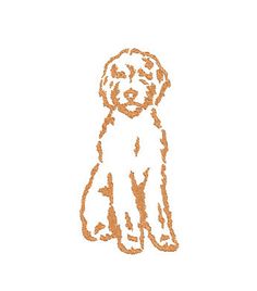 an orange and white dog is sitting down