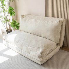 a white couch sitting on top of a rug next to a plant in a living room