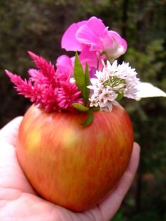 a hand holding an apple with flowers in it