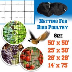 netting for bird poultry size 50 x 50