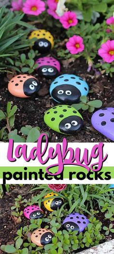 ladybug painted rocks in the garden with pink flowers