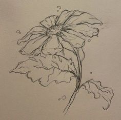 a drawing of a flower with drops of water on it