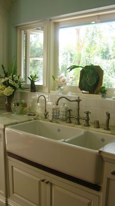 a kitchen sink with two faucets in front of it and flowers on the window sill