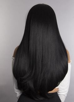 Ponytail - 1b Soft Black - West Label Straight Black Hair, Long Black, Soft Black, The Back, Black Hair, Hair, Black