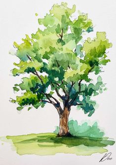 a watercolor painting of a green tree