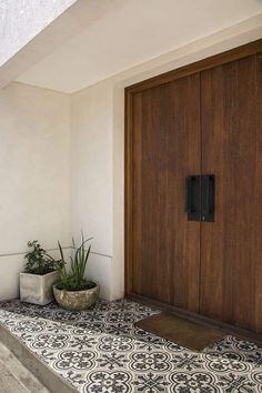 two potted plants sit on the front step of a house, next to a wooden door