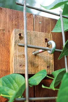 a wooden fence with some green leaves growing on it