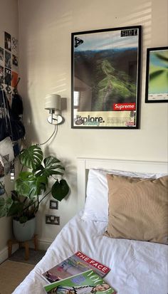 a bedroom with a bed, plant and pictures on the wall