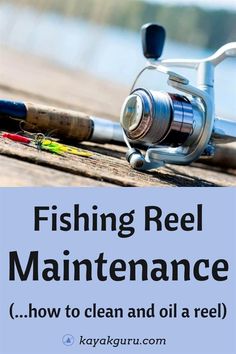 fishing reel maintenance tips and how to clean it