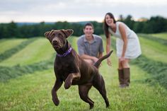 a man and woman are playing with a dog in the grass while another person crouches behind them