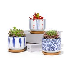 three ceramic planters with succulents in them sitting on top of each other