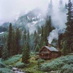 Serene wooden cabin in a pine forest with misty mountains in the background, creating a tranquil atmosphere - perfect nature escape Enchanted Cabin In The Woods, Cabin Pacific Northwest, Pacific Northwest Cottage, Shack In Woods, Small Home In The Woods, Tiny Home In Woods, Wood House Aesthetic, Pine Forest House, Cabin In The Woods Aesthetic