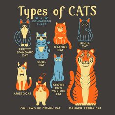 the types of cats that can be seen in this t - shirt for children and adults