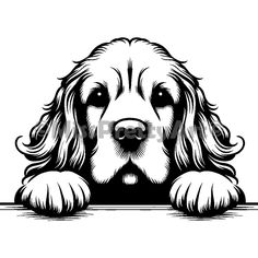 a black and white drawing of a dog peeking out from behind the edge of a sign