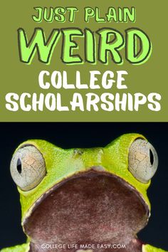 a frog with the words just plain weird college scholarships on it's front cover