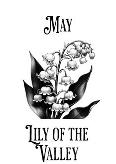 the lily of the valley is shown in this black and white image, with text that reads