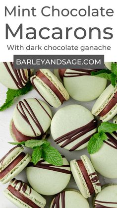 mint chocolate macarons with dark chocolate ganache on top and green leaves around them