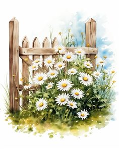 a painting of daisies in front of a wooden fence with grass and flowers around it