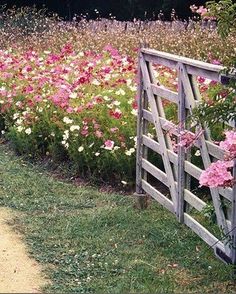 pink and white flowers are growing in the grass near a wooden gate that is open