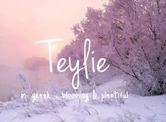 the words teyfie are written in white on a snowy landscape with trees