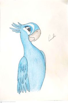 a drawing of a blue bird with long wings and a large beak, standing in front of a white background