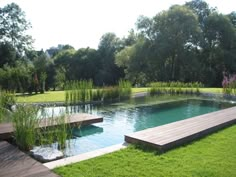 a wooden bench sitting in the middle of a lush green field next to a pond