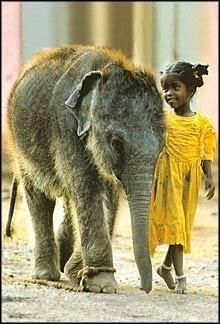 Best of Friends Baby Elefant, Gentle Giant, Anthropology, Baby Elephant