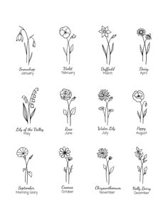 the different types of flowers drawn by hand