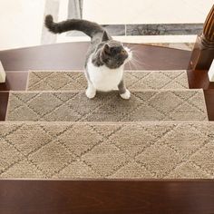 a cat standing on top of a carpeted stair tread next to a wooden table