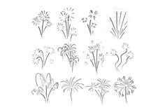 the different types of flowers and plants that are drawn in ink on white paper, each with