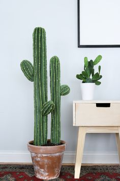 a large cactus in a pot next to a small table with a mirror on it