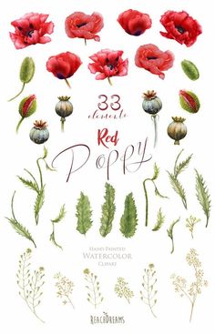 watercolor flowers and plants with the words,'3 little red poppys '