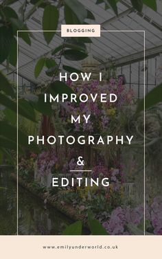 the words how i improvised my photography and editing on top of a photo of flowers in a greenhouse