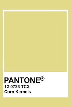 the pantone color is shown in yellow