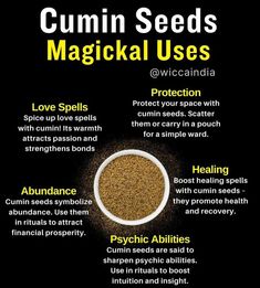 the benefits of cumin seeds and how to use them