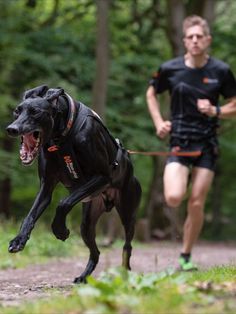 a man running with a dog on a leash in the woods while another runs behind him