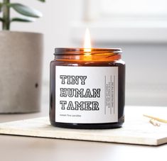 a candle sitting on top of a table next to a potted plant and pencil