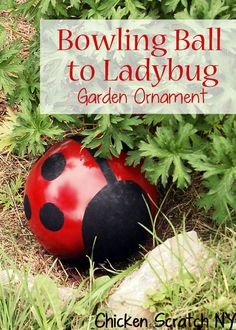 a ladybug ball sitting in the grass with text overlay that reads, how to do bowling balls to ladybug garden ornament