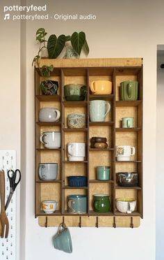 a shelf filled with cups and mugs next to a wall mounted potted plant