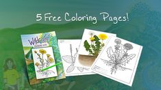 the children's coloring pages are full of flowers and plants, including dandelions