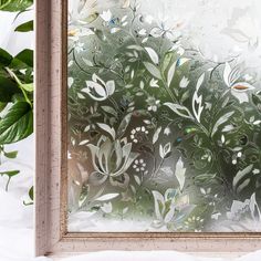 a window that has some plants in it