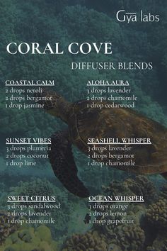 Dive into tranquility with the Coral Cove Diffuser Blend, where the soothing scents of the ocean meet the gentle whispers of a serene coastal retreat.   #GyaLabs #UpliftYourEveryday #essentialoils #spring #summerseason #amazing #soulwisdom #Junevibes #summer  #summervibes #abundance #abundancemindset #miracles #blessings #inspiration #NaturalCare #HealthyLiving #EssentialOils #woman Ocean Scent Essential Oil Blend, Coconut Diffuser Blend, Ocean Essential Oil Blend, Living Oils Recipes, Homemade Essential Oils, Essential Oil Carrier Oils