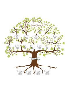 a family tree with the names and branches labeled in green, brown and white colors