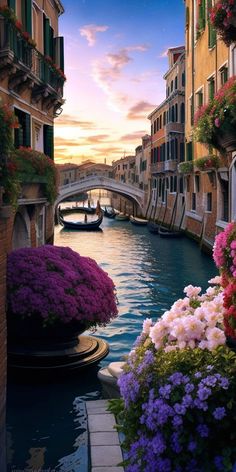 an image of a canal with flowers in the foreground and buildings on either side